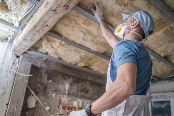Best Insulation Maintenance and Repair in Roland, AR