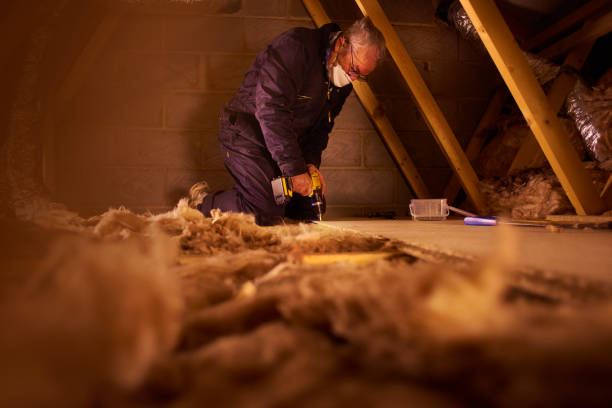 Best Residential Insulation in Roland, AR
