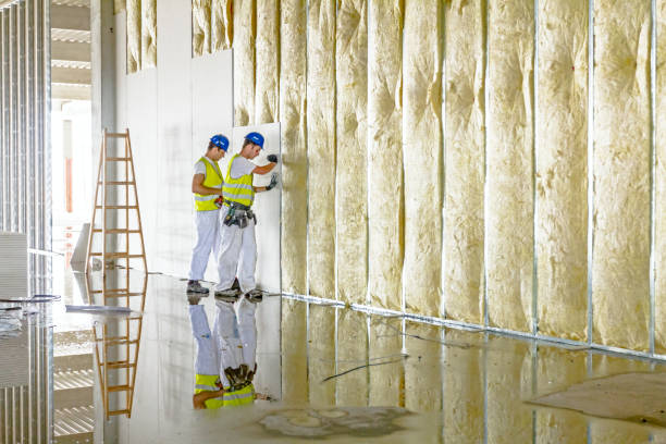 Best Commercial Insulation in Roland, AR